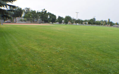 Harmon Field