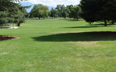 Kiwanis Park