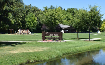 Lions Park